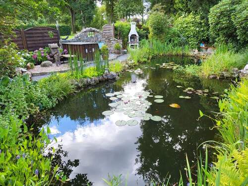 Gartenteich - 