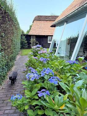 Garten mit Blick auf Gästehaus - 