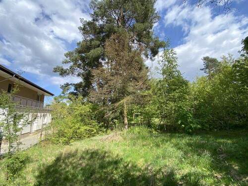 Grundstück - Blick zur Straßenseite - 