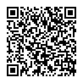 QR-Code - 