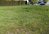 Bauland - Grundstück zum Kaufen in Schöllnach