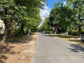 Straßenblick - 