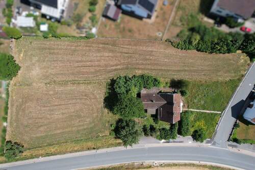 Draufsicht - 4.200 m² Baugrundstück mit Altbestand in Höxter-Ottbergen