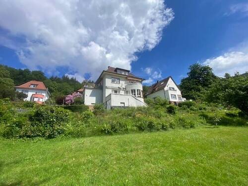 Hausansicht Garten - 