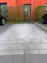 Stellplatz - 