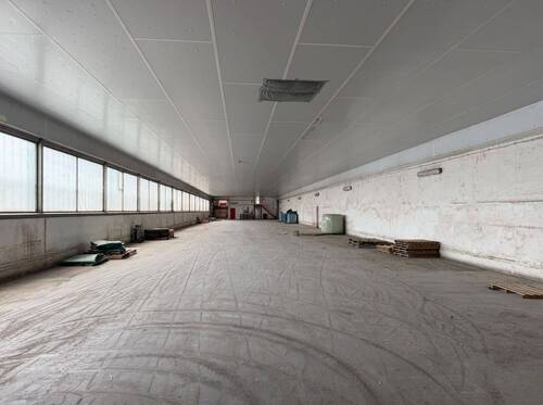 Produktionshalle - Halle in Zeven