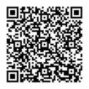 Bild 11 - 