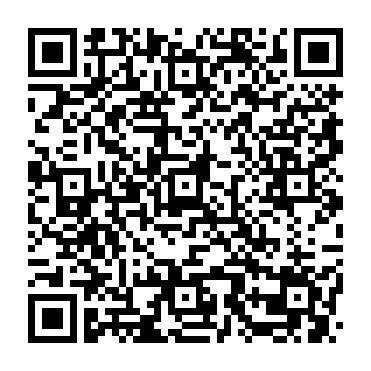 Bild 11 - 