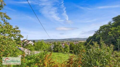 Ausblick - 