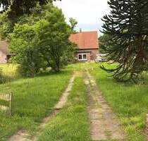 Einfamilienhaus im nördlichen Stadtteil von Nordenham - Ideal für geschickte Handwerker - Nordenham / Blexen