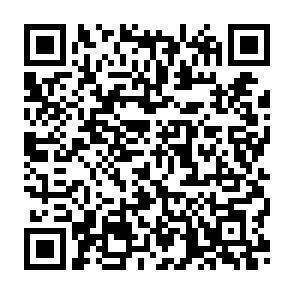 QR-Code - 
