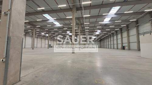 Innenansicht Gesamthalle noch ohne Trennwand - Halle in Ludwigsfelde