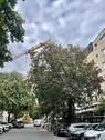 Straßenansicht - 