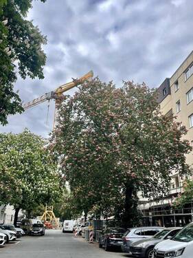 Straßenansicht - 