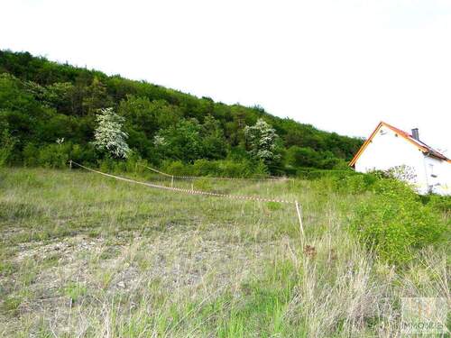 Blick ins Grüne - Grundstück in Blankenhain