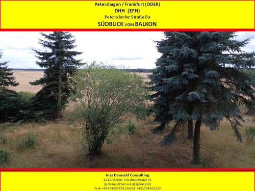 Südblick vom Balkon - 