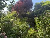 Garten - 
