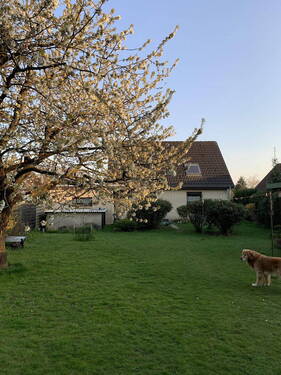 Garten - 