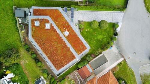 begrünte Dachfläche - 