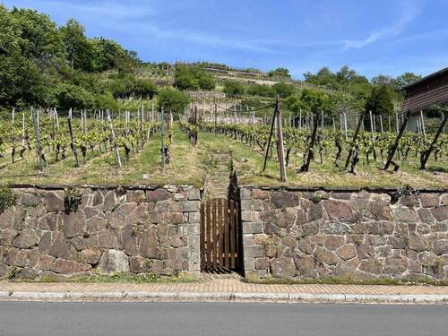 Die Nachbarschaft - Grundstück in Radebeul