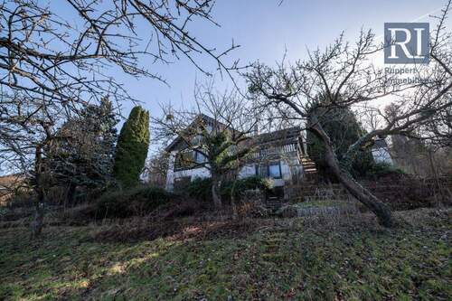 Blick auf den Garten und das Haus - 