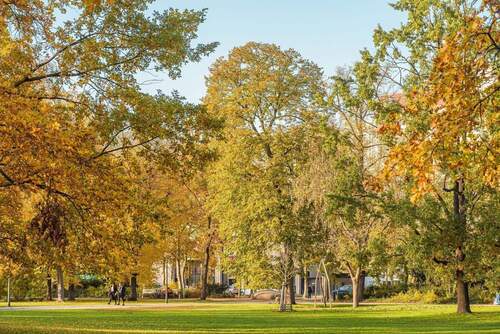 Umgebung Moabit (5) - 