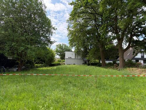 Blick zum Norden - 