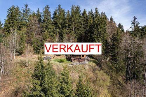 Berghütte - Berghütte mit 3 ha Wald im Naturschutzgebiet Adelegg - Ruhe und Natur pur mit herrlicher Alpensicht