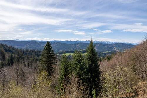 Alpenblick - 2 Zimmer Mehrfamilienhaus, Wohnhaus in Isny