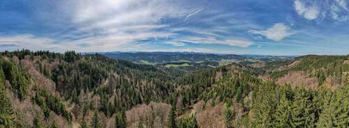 Alpenblick - 