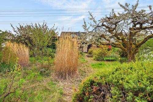 Garten - Rückansicht - 9 Zimmer Bungalow zum Kaufen in Rheinstetten / Forchheim