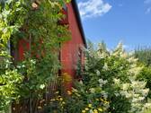 010_P-13813_Wochenendhaus_Wochenendgrundstueck_Zechlin_Rheinsberg_Laupi.jpg - 