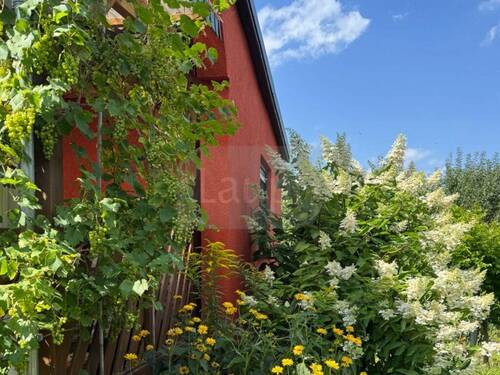 010_P-13813_Wochenendhaus_Wochenendgrundstueck_Zechlin_Rheinsberg_Laupi.jpg - 