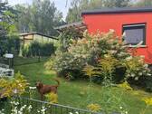 012_P-13813_Wochenendhaus_Wochenendgrundstueck_Zechlin_Rheinsberg_Laupi.jpg - 
