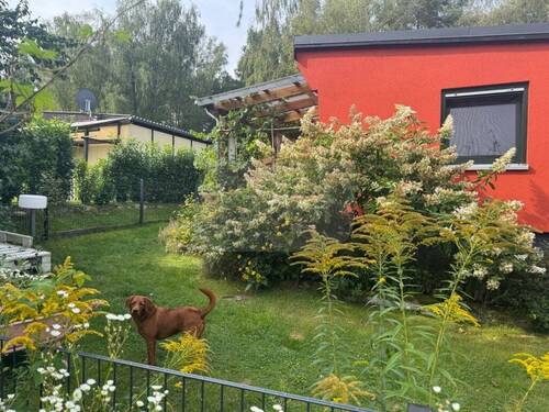 012_P-13813_Wochenendhaus_Wochenendgrundstueck_Zechlin_Rheinsberg_Laupi.jpg - 