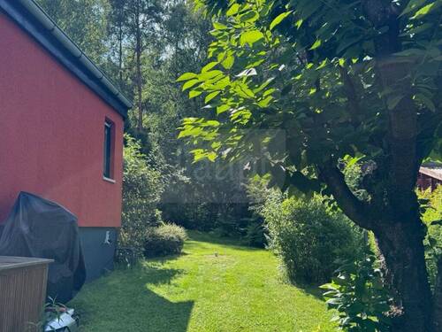 013_P-13813_Wochenendhaus_Wochenendgrundstueck_Zechlin_Rheinsberg_Laupi.jpg - 