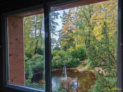 Blick über Goldfischteich bis zum Schloss - 