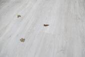 hochwertiger Designboden - 