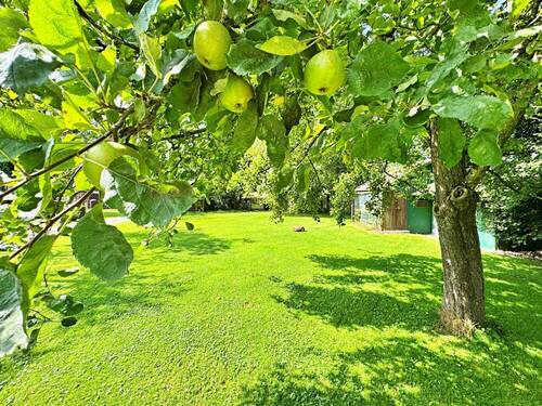 Gartenansicht - Einfamilienhaus mit 195,00 m² in Barßel / Barßelermoor zum Kaufen