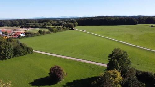 Feldweg - Grundstück in Großdingharting zum Kaufen
