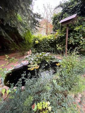 Teich.jpg - Einfamilienhaus mit 95,00 m&sup2; in Strausberg zum Kaufen