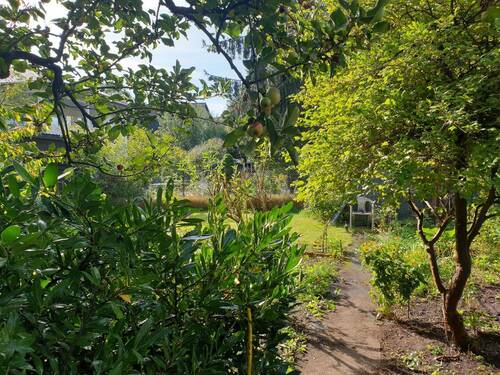 Garten 2.jpg - 