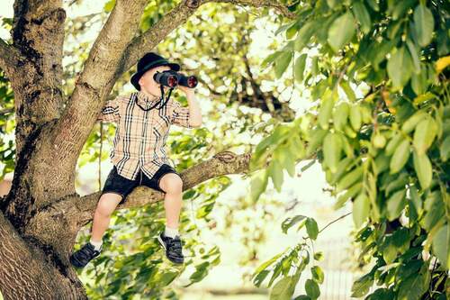 Neugierig geworden? Dann freue ich mich auf Sie! - 