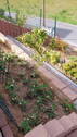 Bild 19 - 