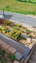 Bild 20 - 
