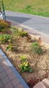 Bild 23 - 