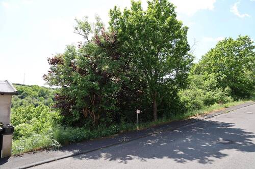 Grundstück von der Seite - Grundstück zum Kaufen in Breitscheid