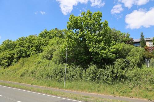 Grundstück von unten - Grundstück in Breitscheid