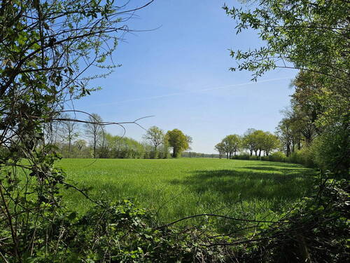Liether Moor - 