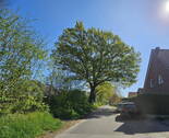 Spielstrasse - 